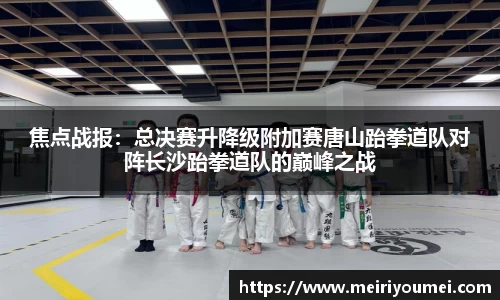 NG体育