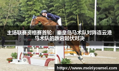 NG体育平台